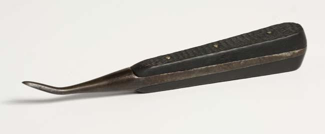 Exceptional Ebony Handled Dental Elevator - w8663
