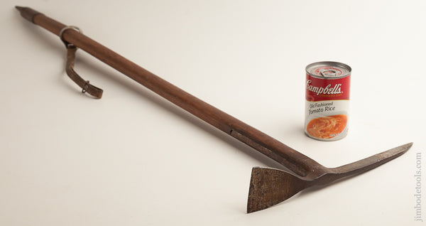 74924_grande.jpg?v=1524697313