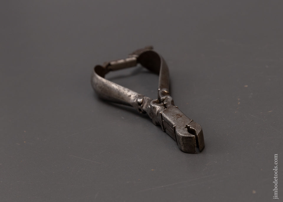 Drop Dead Stunning! Ornate 16th Century Dental Forceps - EXCELSIOR 109001