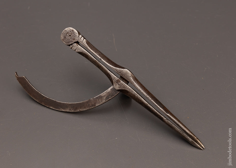 Exquisite 8 Inch Hand Forged Dividers by AULT - 112437