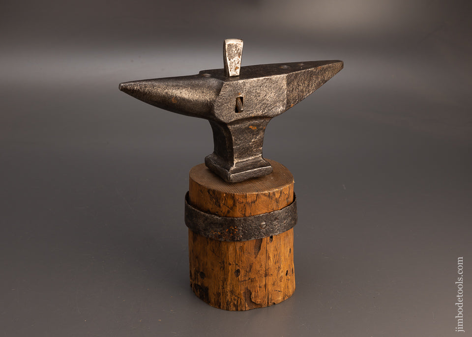 Stunning 14 Pound Anvil on Stump with Hot Cutting Hardy - 113547