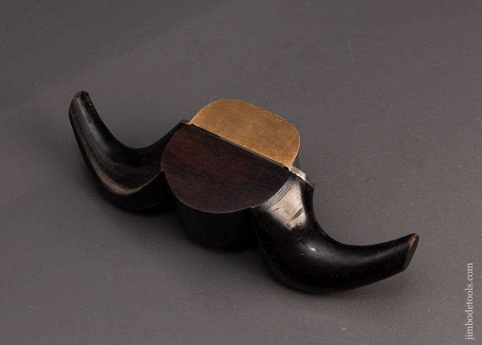 Gorgeous-Ram’s-Horn-Scraper-Plane-119292