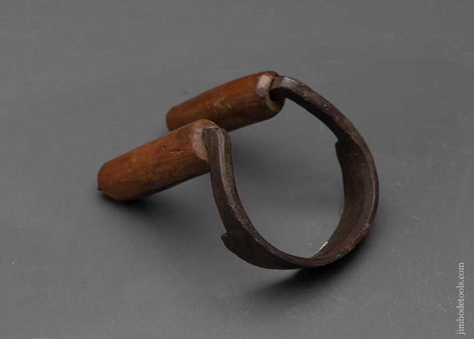 3 1/2 inch Bargain Scorp! - 94341