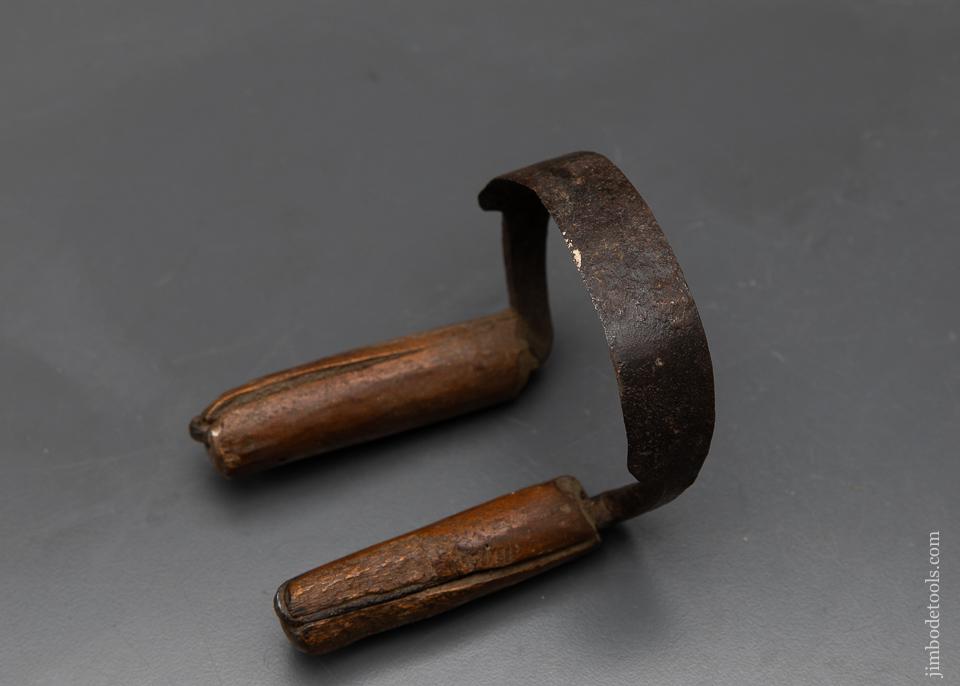 3 1/2 inch Bargain Scorp! - 94341