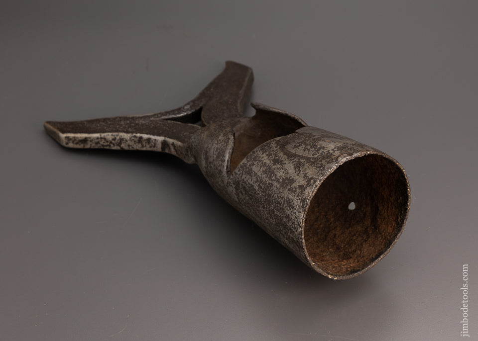Enormous! 18th Century Pole Pike ** 56599