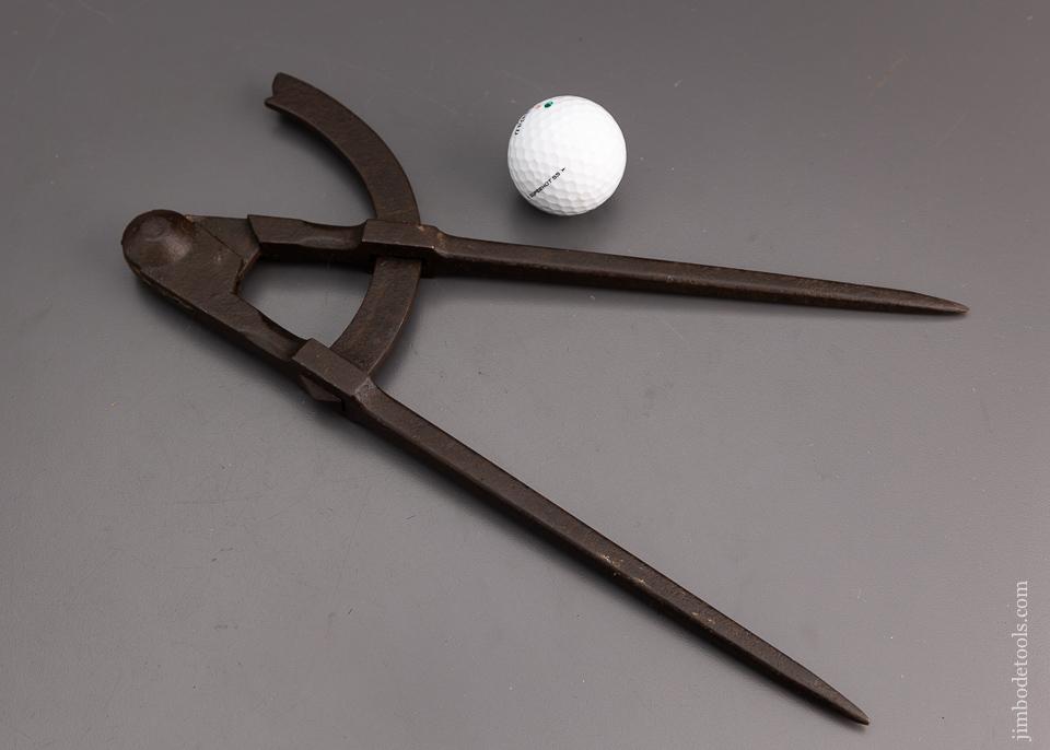 12 Inch Dividers - 101217