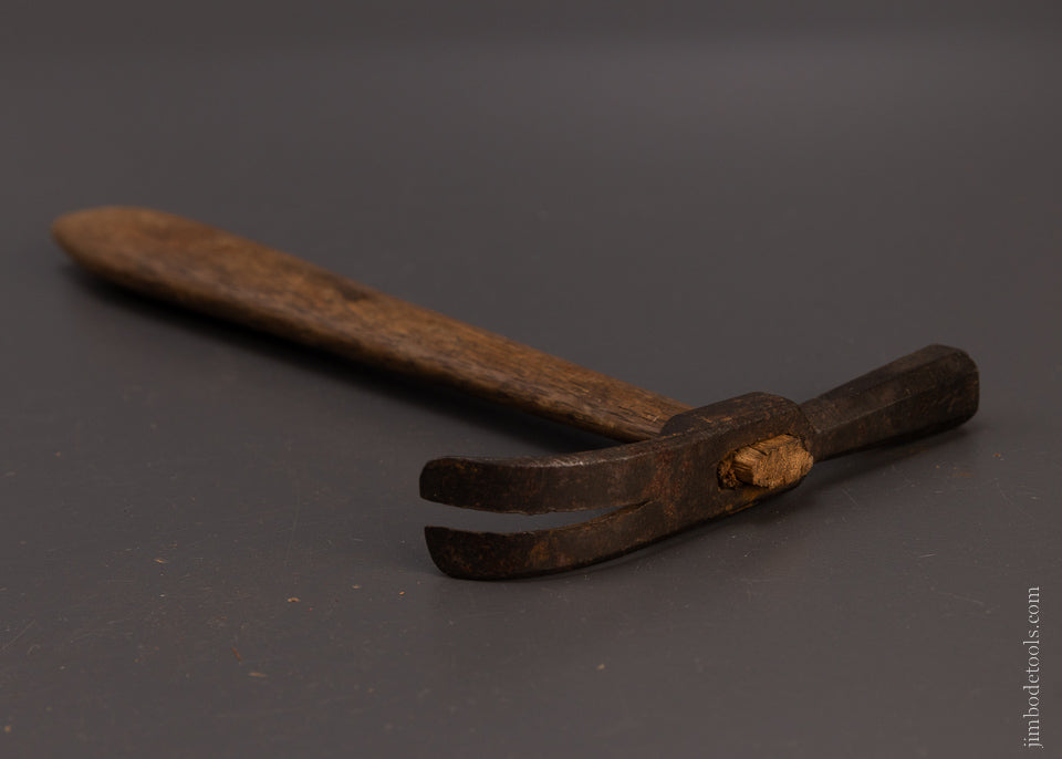 Very Early Hammer - 107820