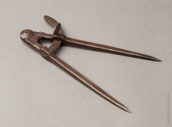 8 inch Wing Dividers
