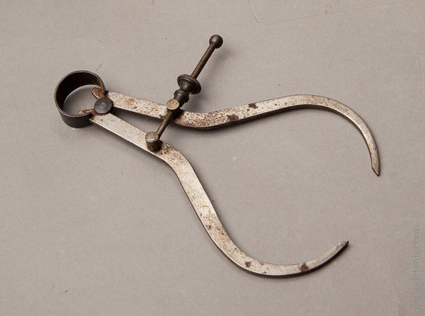Six inch Callipers