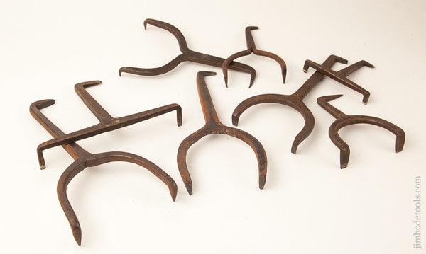 Collection of Eight Hand forged Bench Dogs