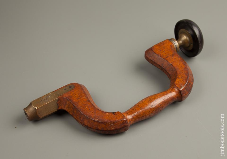 Fine Beech BUCK Brace with Ebony Head - 76718