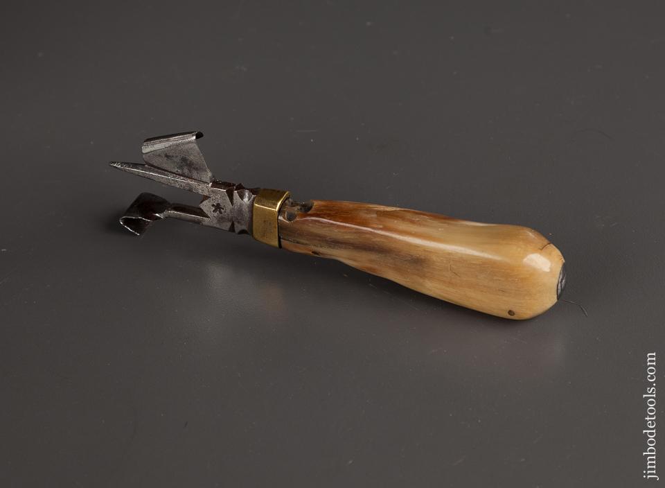 Stunning 5 3/4 inch Horn Handled Race Knife - 78227R