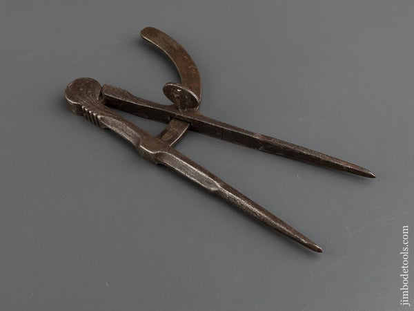 18th Century 9 inch Wing Dividers - 78994R