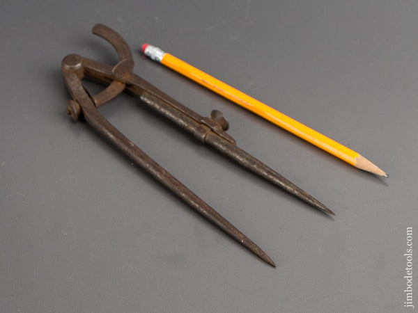 Eight inch Pencil Dividers - 81861