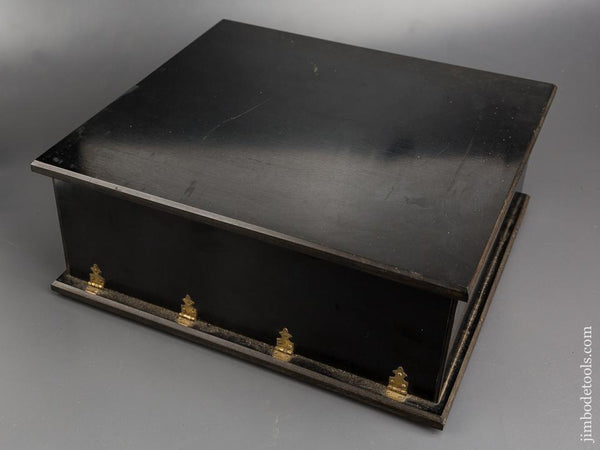 Beautiful Rule Display Box - 83418