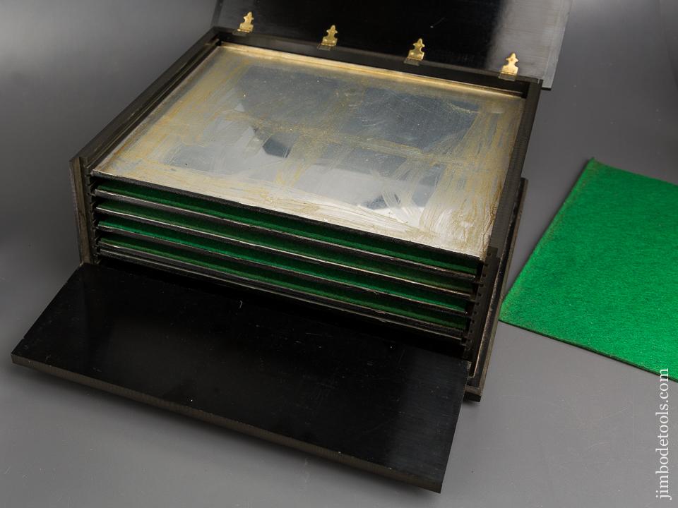 Beautiful Rule Display Box - 83418