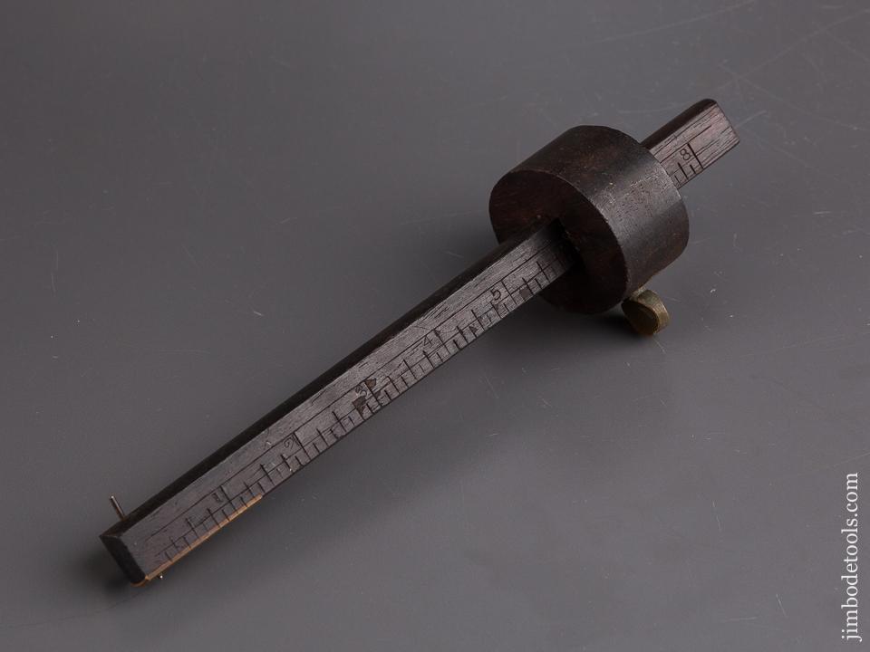 FINE Nine inch Rosewood & Brass Marking Gauge - 84856
