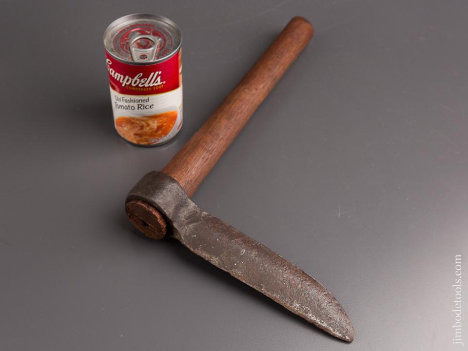 Adorable Six inch Free - 84917