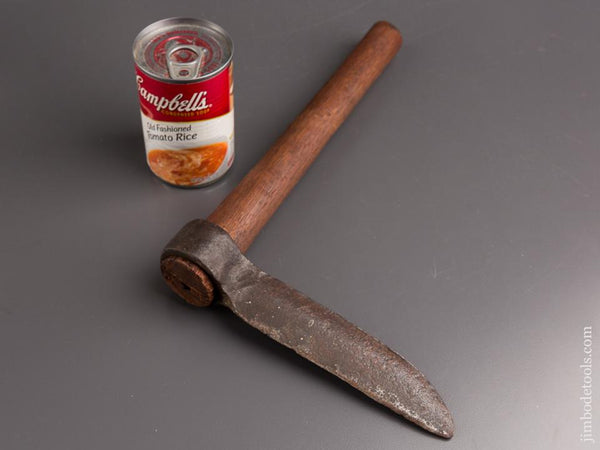 Adorable Six inch Free - 84917