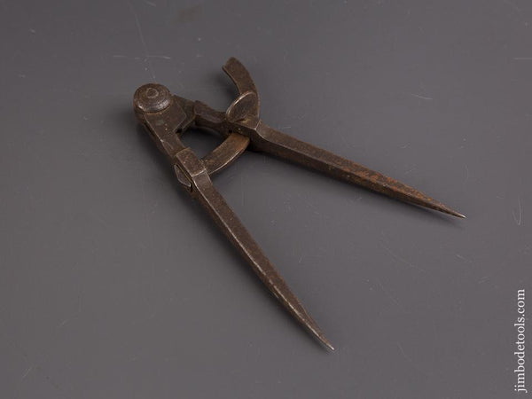 6 1/2 inch Wing Dividers - 86430