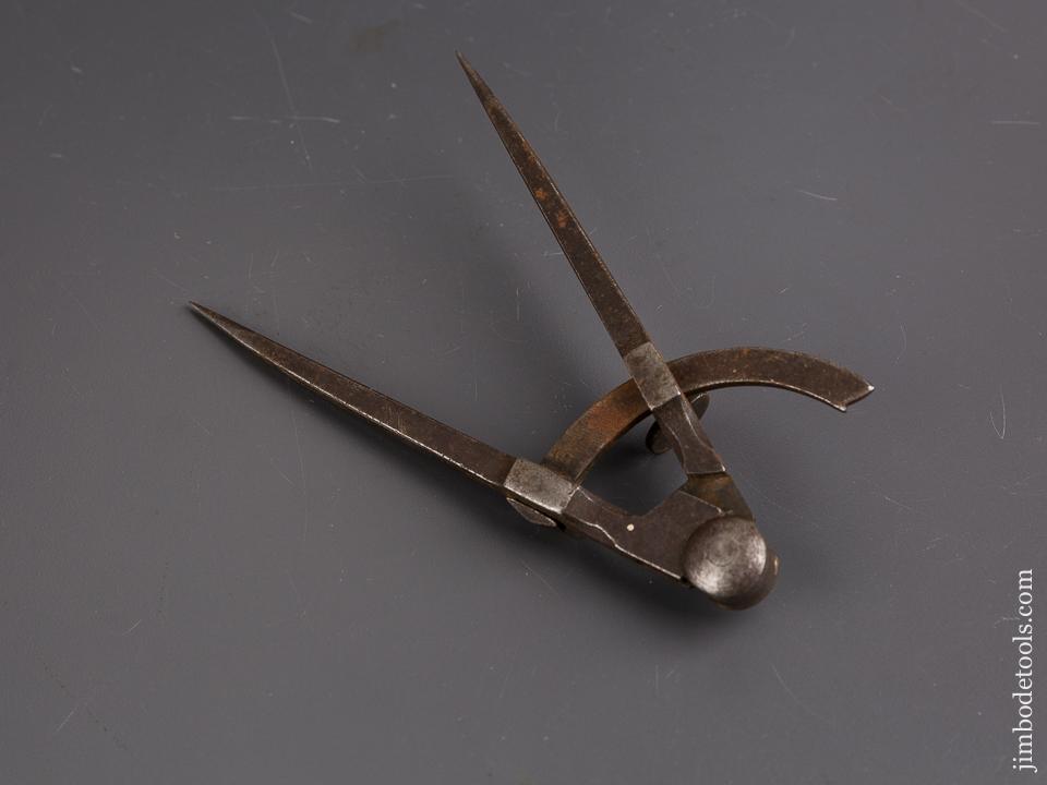 6 1/2 inch Wing Dividers - 86430