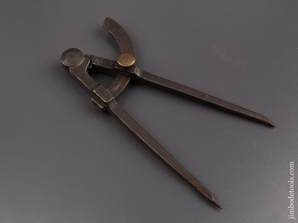 Eight inch Wing Dividers - 86432