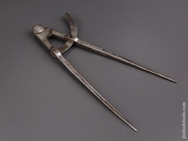 Eleven inch Wing Dividers - 86445