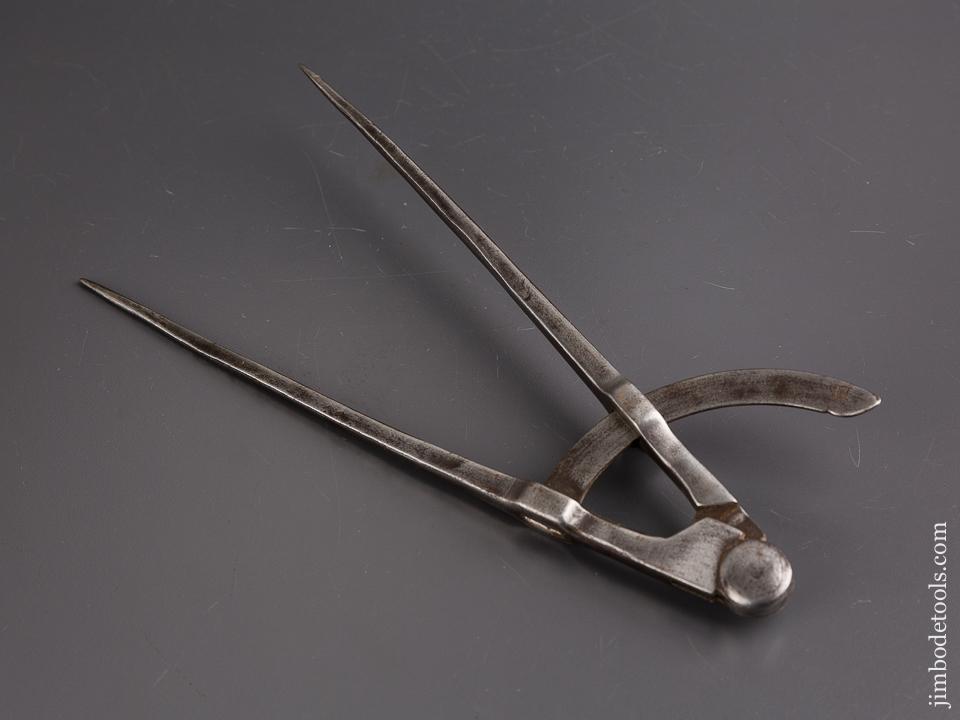 Eleven inch Wing Dividers - 86445