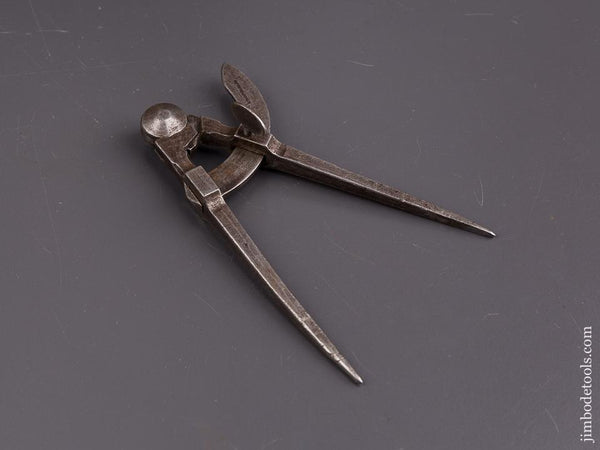 Six inch WINGFIELD CO Wing Dividers - 86461