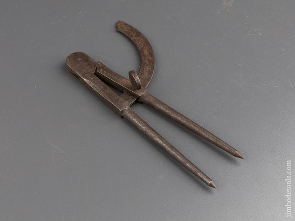 Fine Seven inch Wing Dividers - 87599