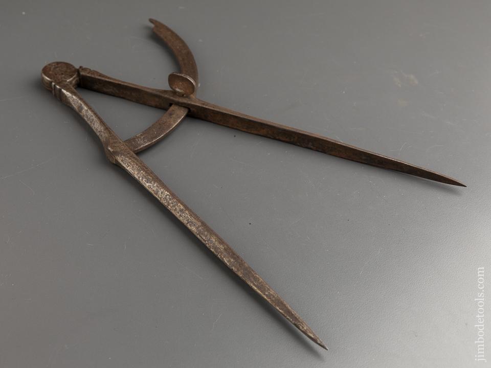 Stunning Twelve inch Wing Dividers - 87957