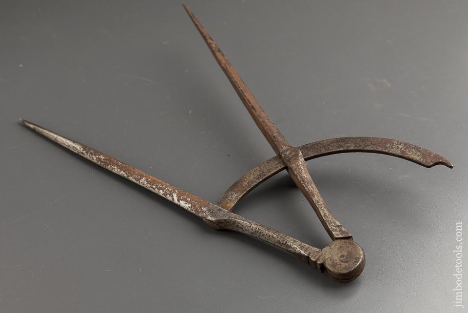 Stunning Twelve inch Wing Dividers - 87957