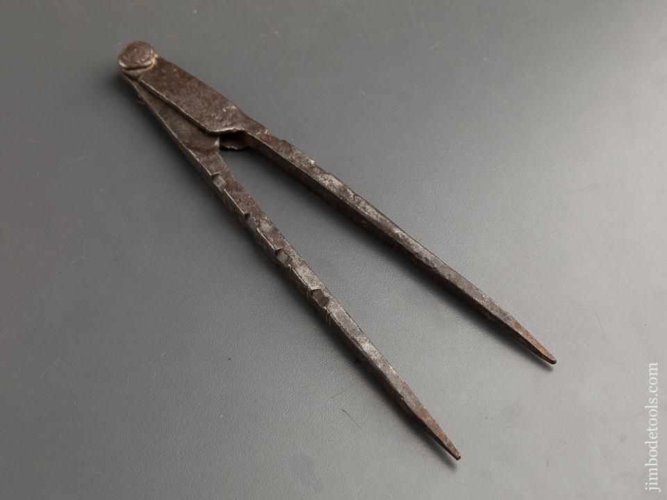 Amazing Decorated Nine inch Dividers - 89404