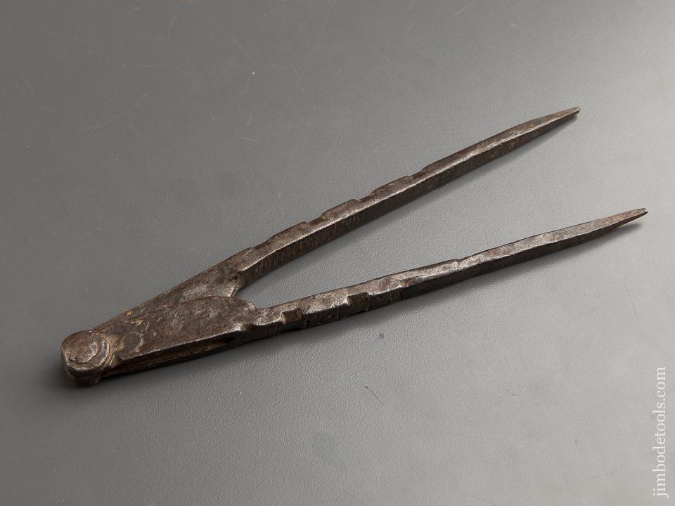 Amazing Decorated Nine inch Dividers - 89404