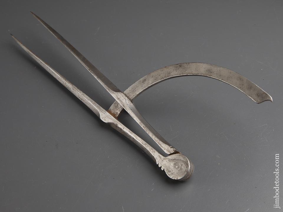 Magnificent Fourteen inch Dividers by WM. HODGES - 89632