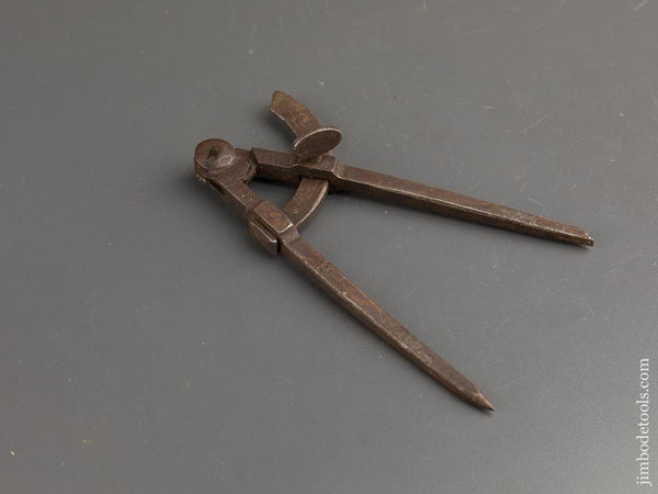 6 1/2 inch Wing Dividers - 89718