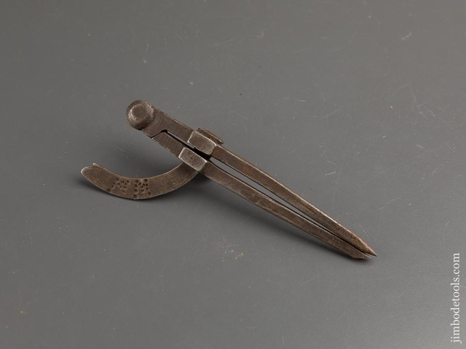 6 1/2 inch Wing Dividers - 89718