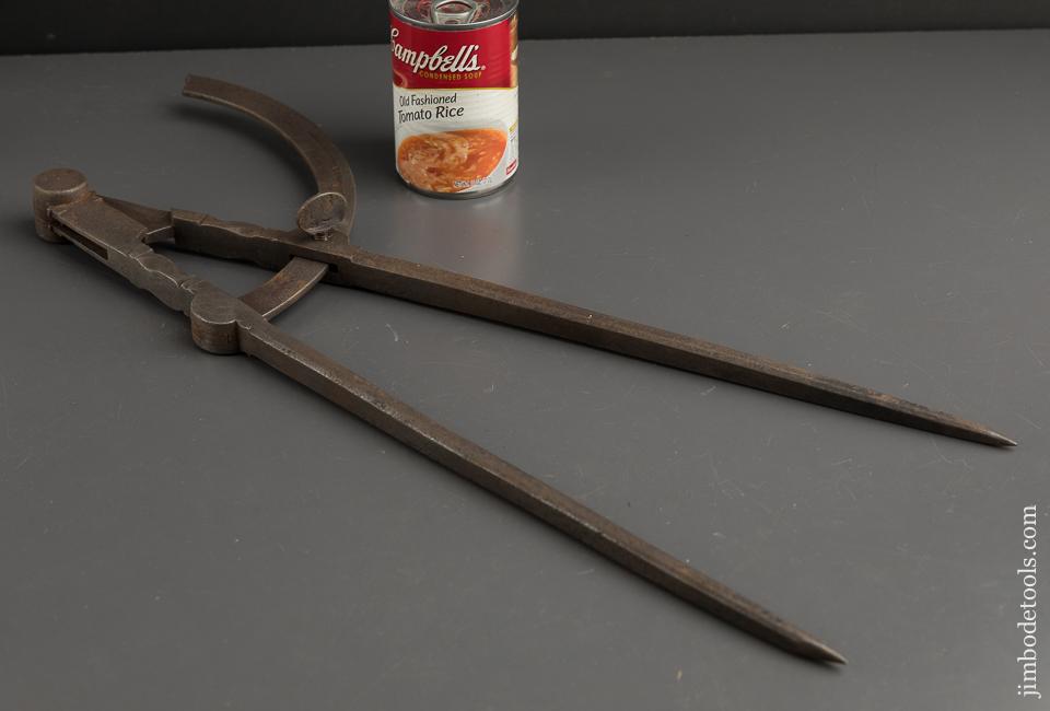 Magnificent! Twenty inch Wing Dividers - 90131