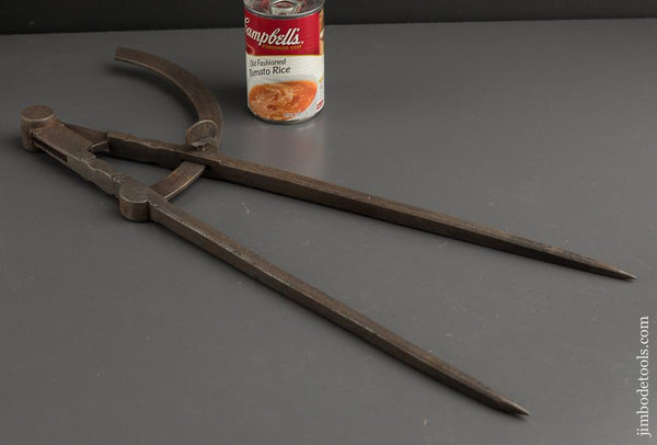 Magnificent! Twenty inch Wing Dividers - 90131