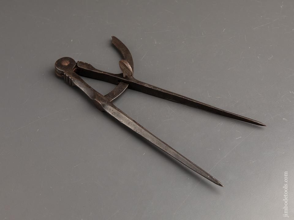 Ten inch Wing Dividers - 90442