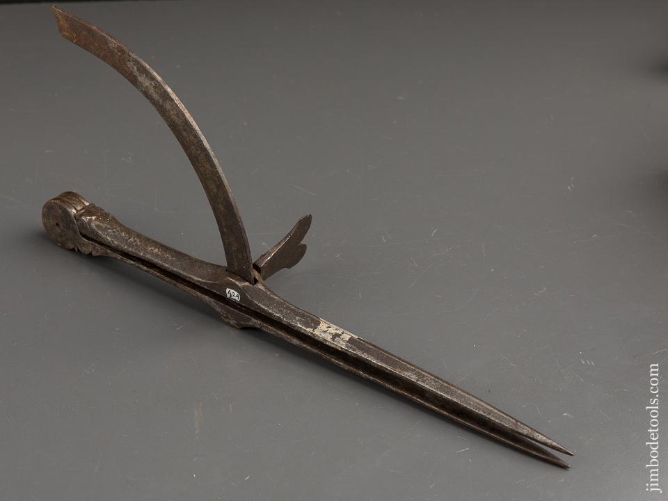 Thirteen inch Wing Dividers - 90443