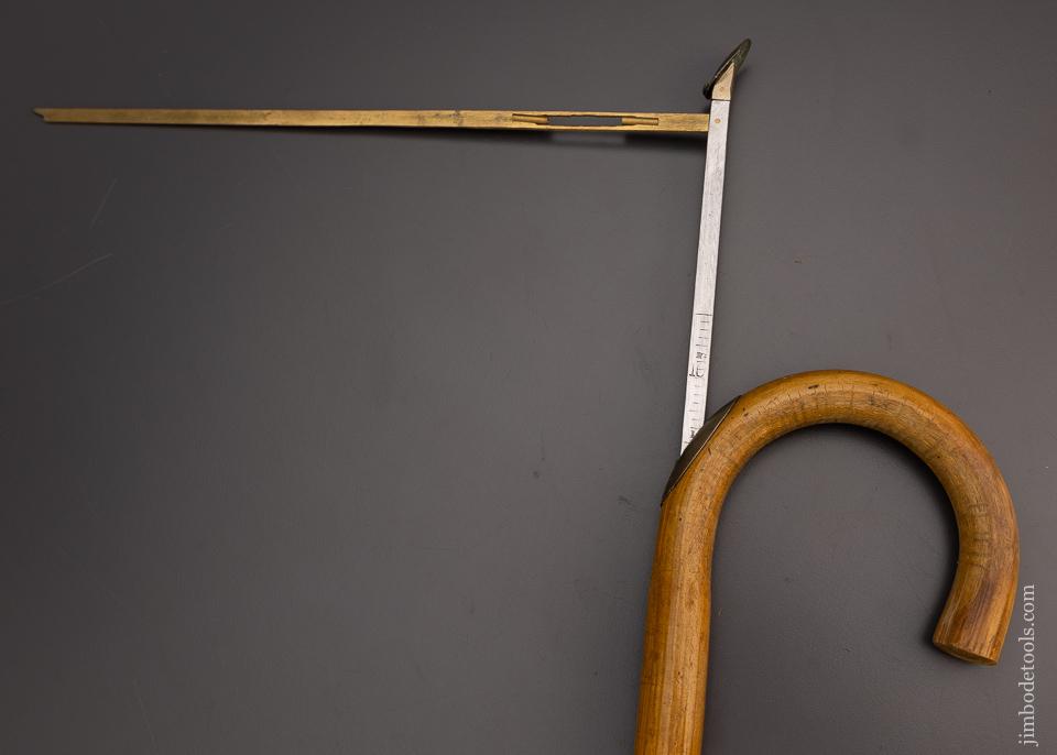 Rare Horse Measuring Cane - 98082