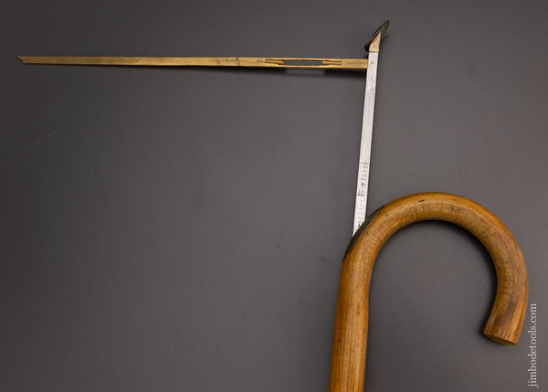 Rare Horse Measuring Cane - 98082
