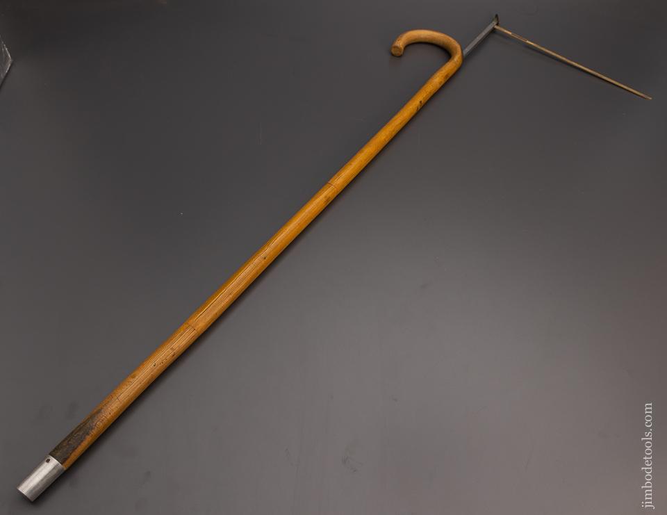 Rare Horse Measuring Cane - 98082