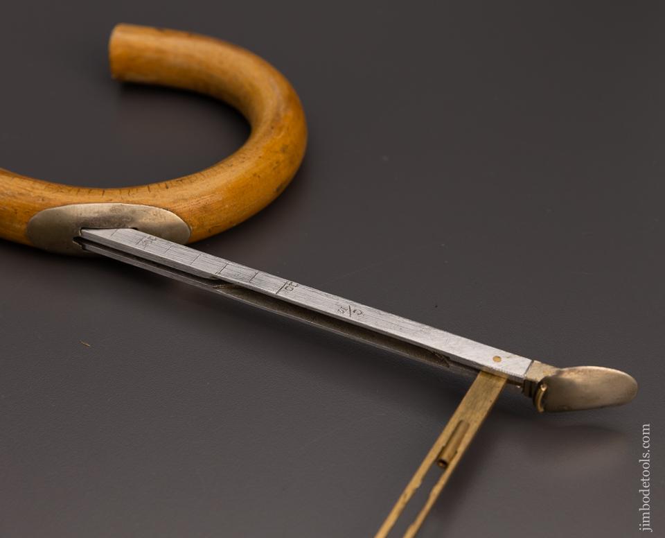 Rare Horse Measuring Cane - 98082