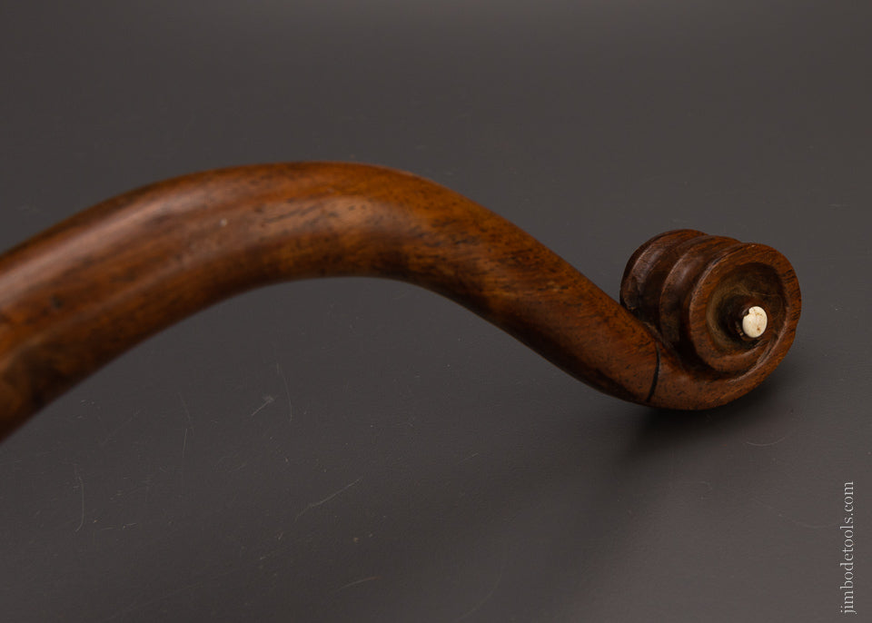 Spectacular Ornately Carved Shoulder Knife for Marquetry - EXCELSIOR 106906